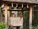 shrine cat