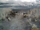 INFRA-RED